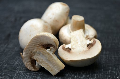 best mushroom gummies