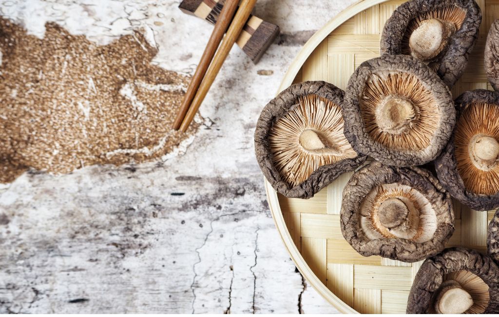 Raw Medicine Organic 20:1 Shiitake Mushroom Extract